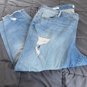 Torrid  Jeans